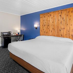 Habitación con Cama King Adaptada para Discapacitados